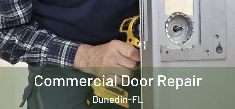  Commercial Door Repair Dunedin-FL