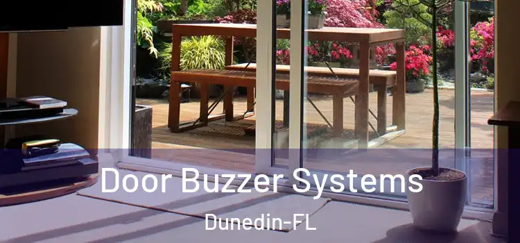  Door Buzzer Systems Dunedin-FL