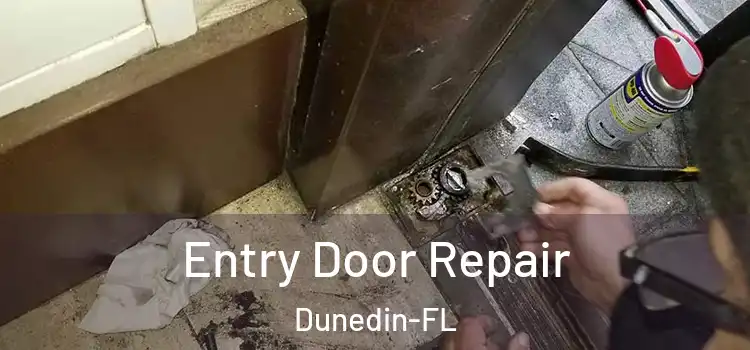  Entry Door Repair Dunedin-FL