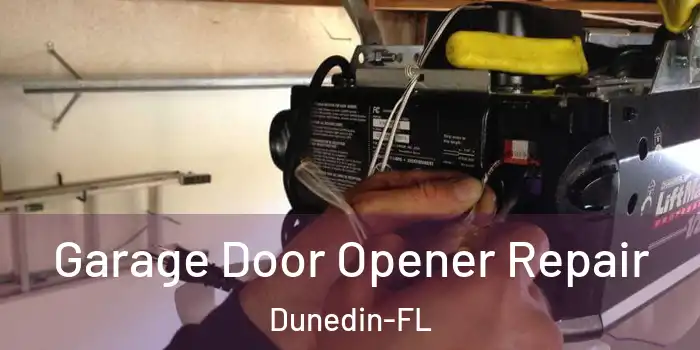  Garage Door Opener Repair Dunedin-FL
