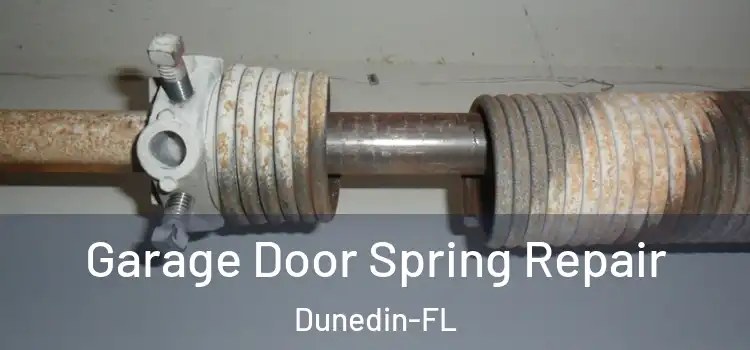  Garage Door Spring Repair Dunedin-FL