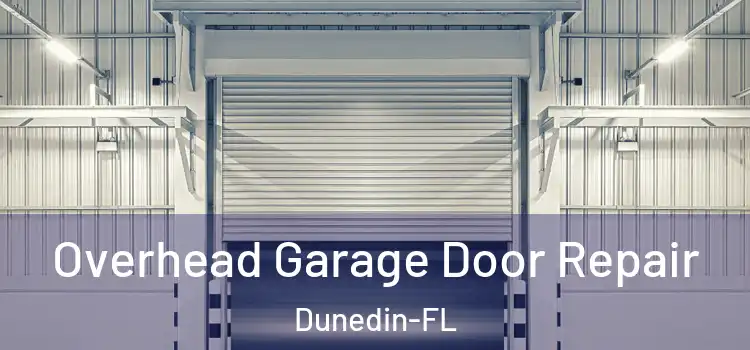  Overhead Garage Door Repair Dunedin-FL