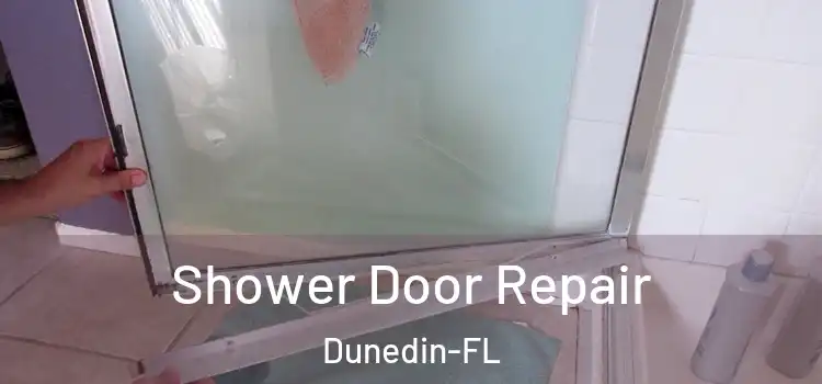  Shower Door Repair Dunedin-FL